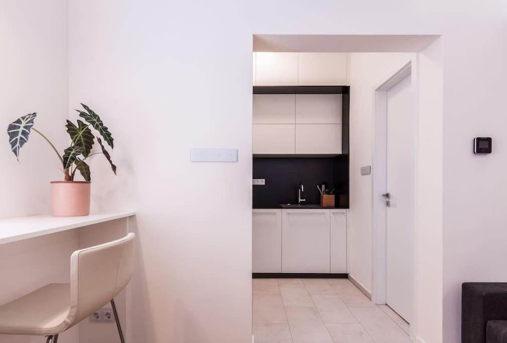 Eszter'S Lovely Downtown Apartment بودابست المظهر الخارجي الصورة